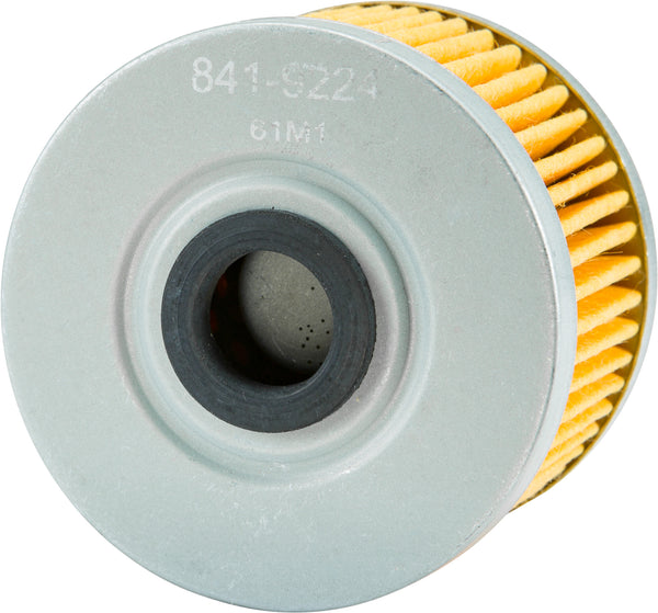 FP OIL FILTER 113 | PS113