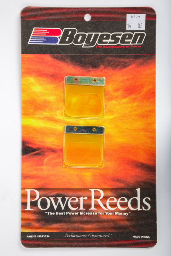 MOTORCYCLE REEDS | 6104
