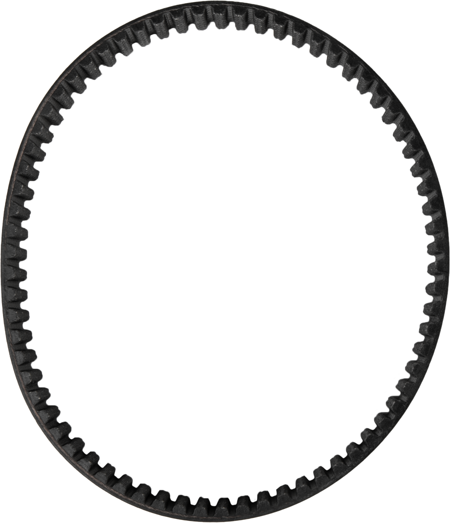DRIVE BELT SURRON | 560H8MP16