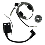 KIT STATOR/ROTOR/IGNITION ROTOR FLYWHEEL+IGNITION COIL | RMS900-107608