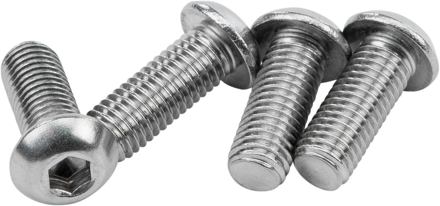 SISSYBAR HARDWARE 1/4-28 X 5/8 STAINLESS | 086021