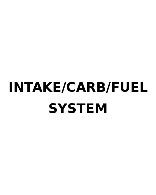 Street Intake/Carb/Fuel System