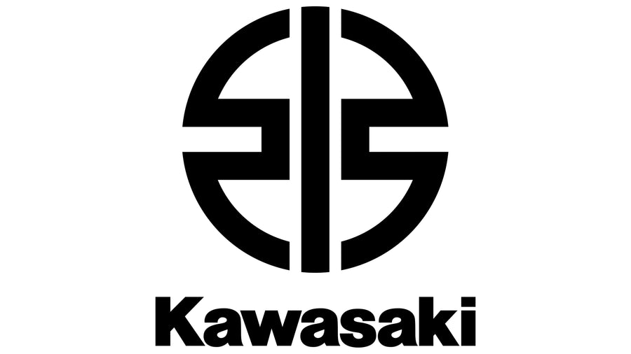 CONTROL UNIT-ELECTRON | 21175-0368