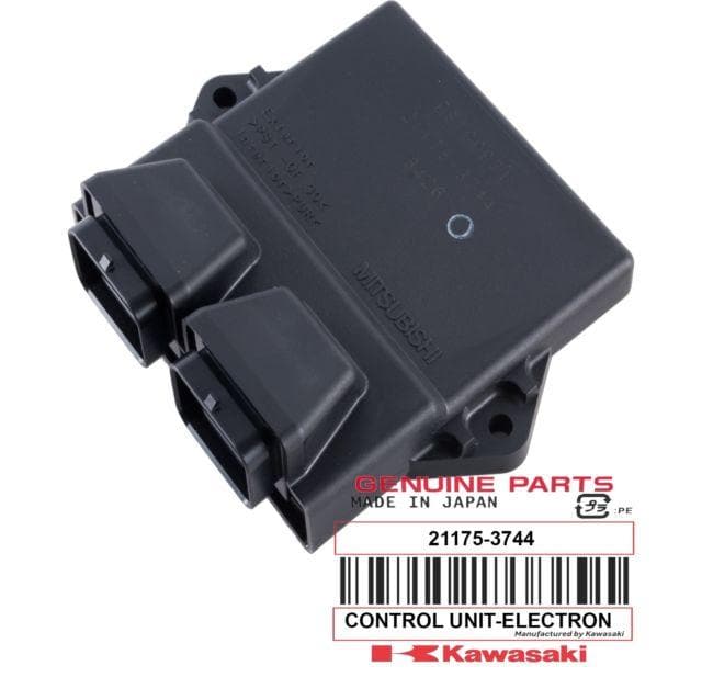 Kawasaki 300X ECU Reflash
