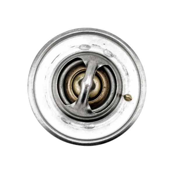 Seadoo 4-TEC Thermostat