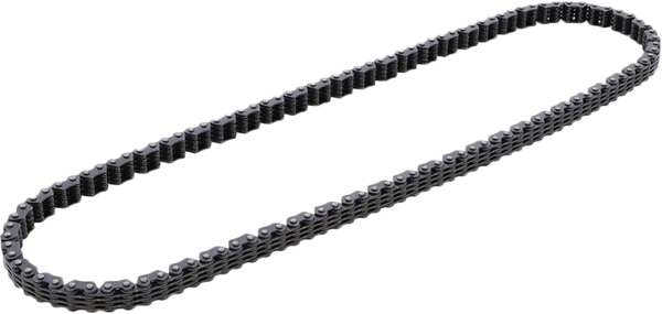 CAM CHAIN