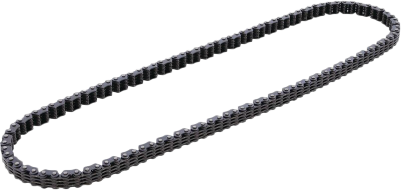 CAM CHAIN
