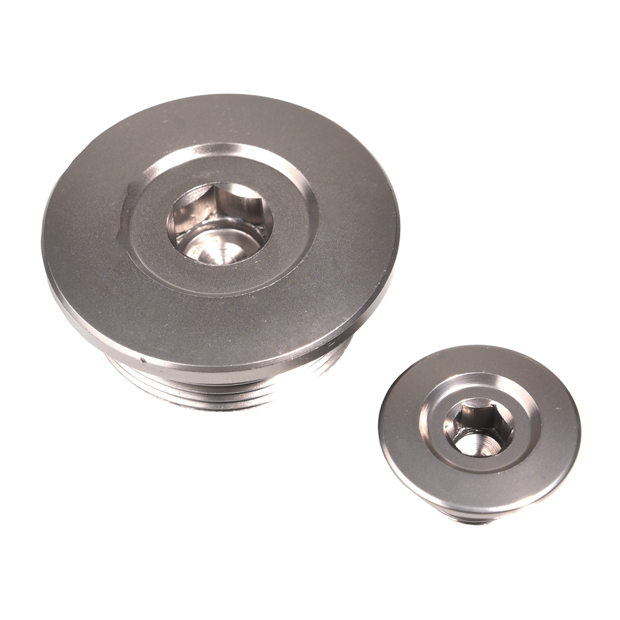 ENGINE TIMING PLUG SET GREY HON | FXEP 10200 99H2