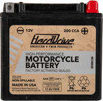 AGM Sealed Battery