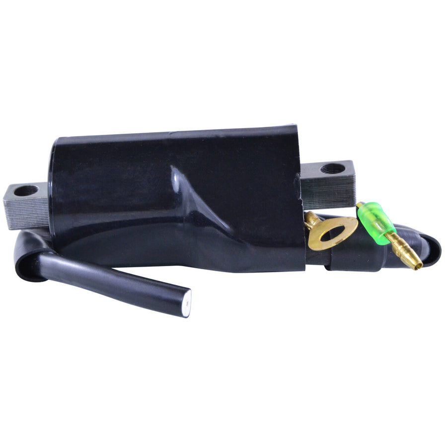 EXTERNAL IGNITION COIL | RM06056