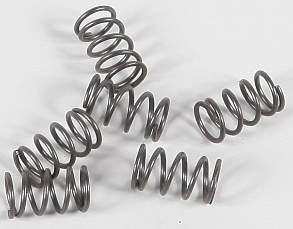 CLUTCH SPRINGS CSK40