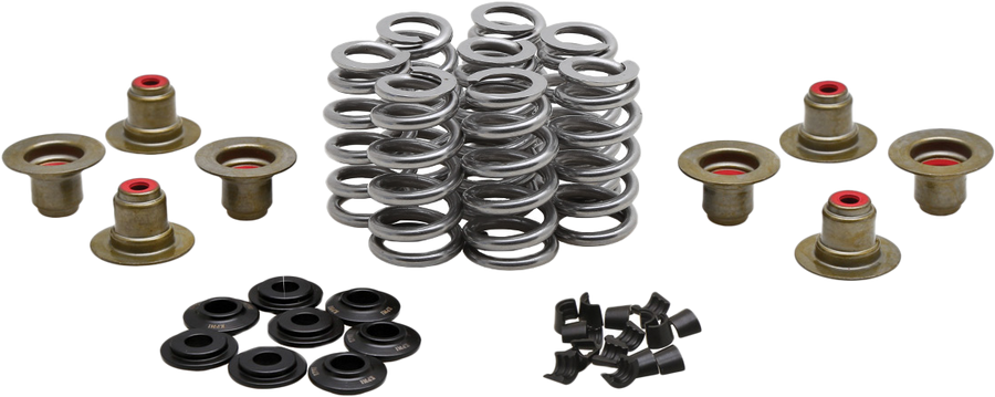 BEEHIVE VALVE SPRING KIT .640 LIFT  M8`17-24 NON VVT | 20-24400