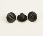 Visor Screws