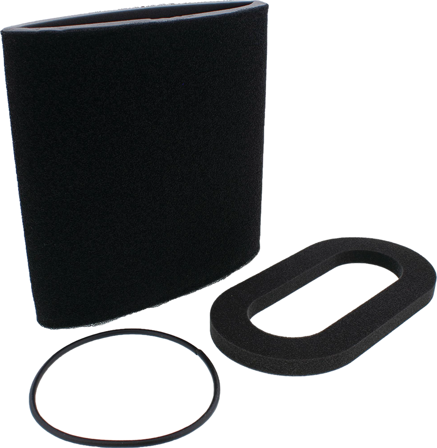 AIR FILTER KIT | 48-1079