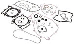 COMPLETE GASKET SET WITH OIL SEALS KAW | 8110027