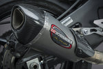 EXHAUST STREET ALPHA-T SLIP-ON SS-SS-CF WORKS | 13100BP520