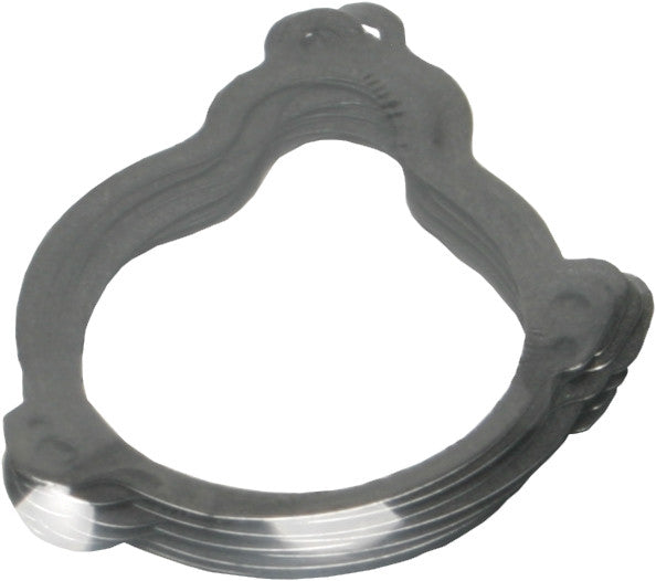 Panhead/Shovelhead/Evo Big Twin Starter Gasket