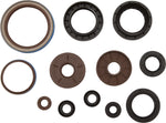 OIL SEAL SET | 822385