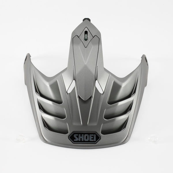 HORNET X2 VISOR MT.DEEP GREY