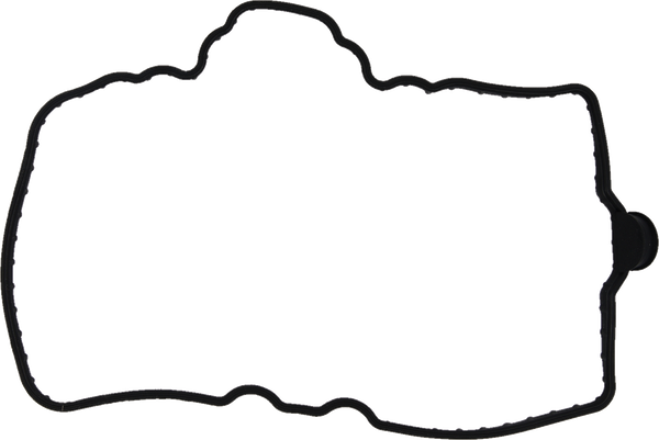 VALVE COVER GASKET POL