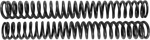 Scepter Spring