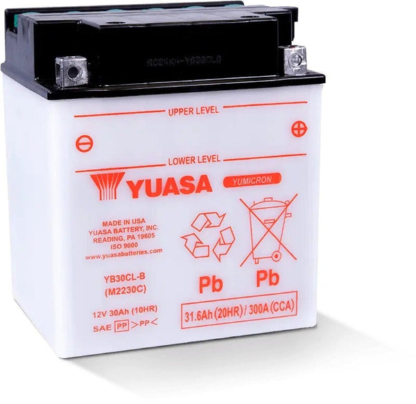 Yuasa YB30CL-B battery*