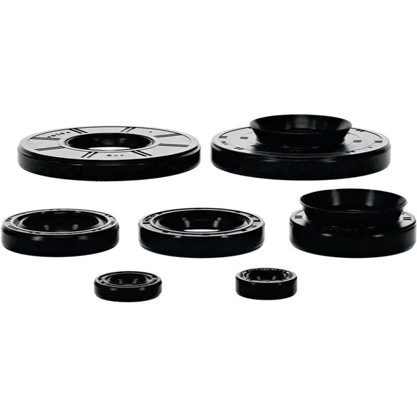 OIL SEAL KIT | 822396