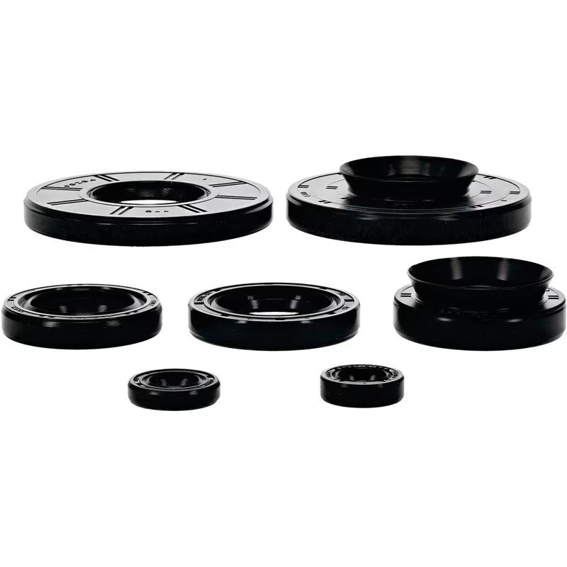 OIL SEAL KIT | 822396