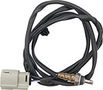 O2 Sensor