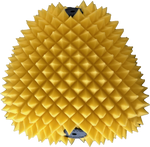 AIR FILTER PROLINE