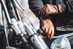 Louie Gloves