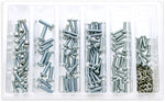 CARBURETOR FLOAT BOWL SCREWS ASSORTMENT 210 PIECE KIT | SV-CARBSCRW