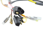 STATOR+FLYWHEEL POL