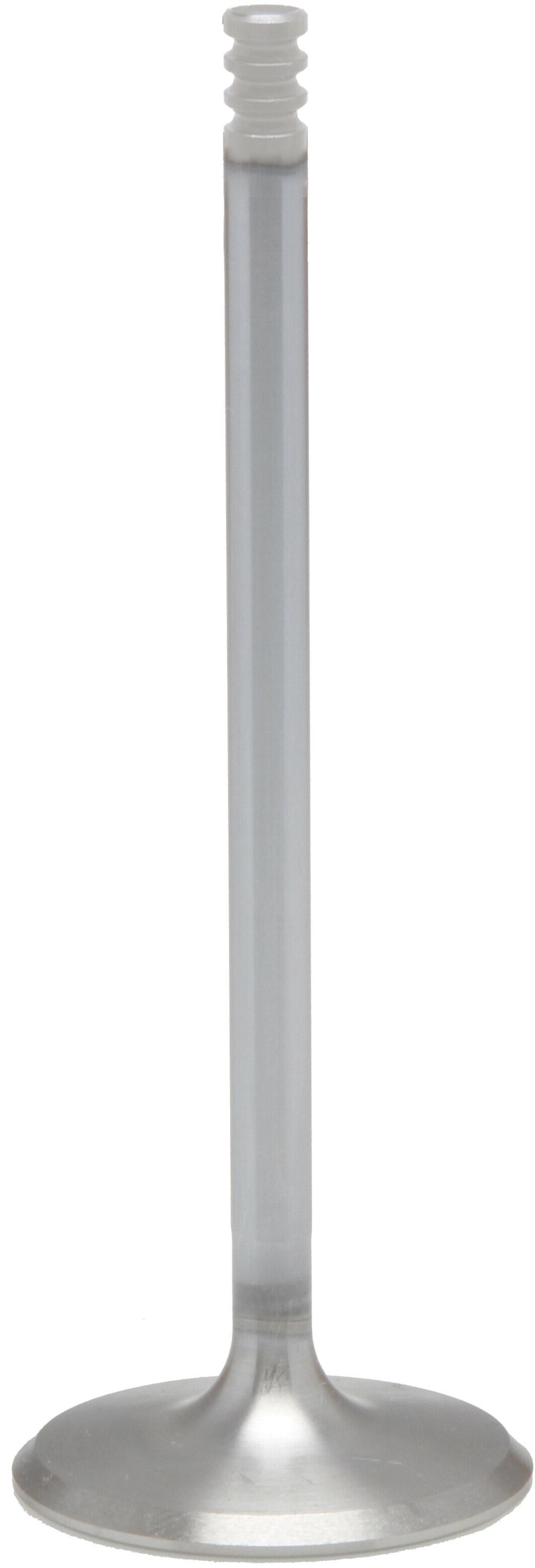 WHITE DIAMOND EXHAUST VALVE M8 1.284 OS INCONNEL