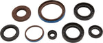 OIL SEAL SET | 822381