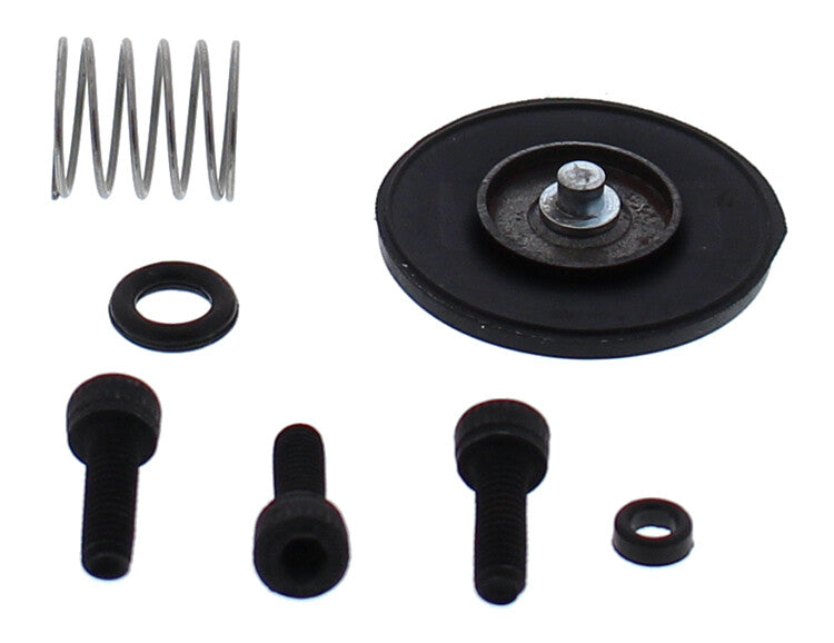 ACCEL. PUMP REBUILD KIT | 46-3008
