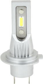D Series Light Bulbs