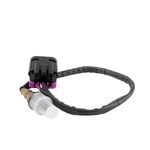 OXYGEN SENSOR POL