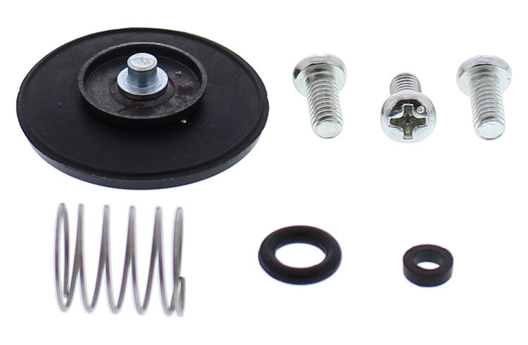 ACCEL. PUMP REBUILD KIT | 46-3005