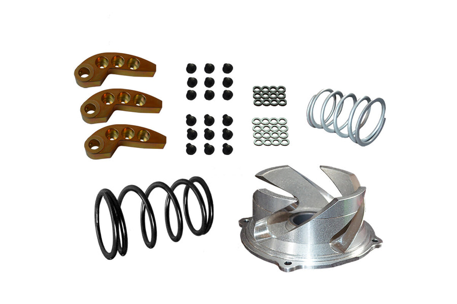 CLUTCH KIT WITH ADJ WEIGHTS POL 0-3K STK PIPE | 123-160