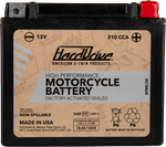 AGM Sealed Battery