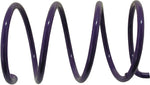 Driven Clutch Spring