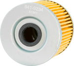 FP OIL FILTER 123 | PS123