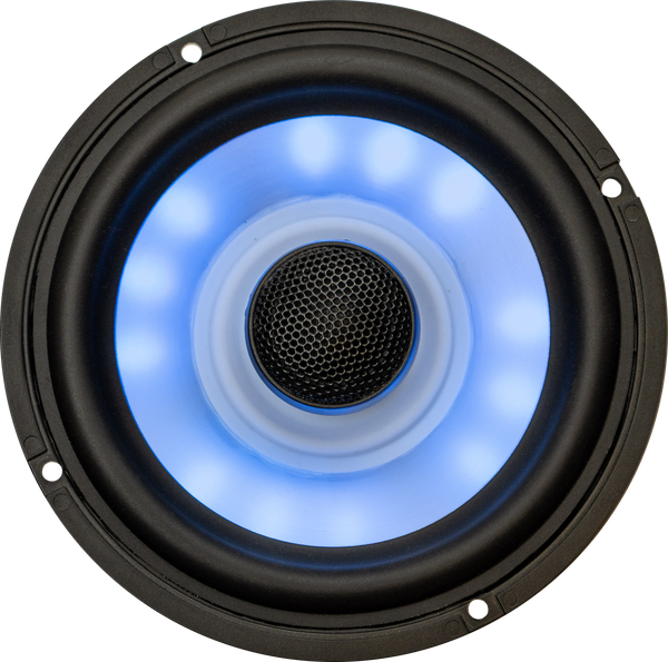 6.5" SPEAKER 300W RGB APLICABLE | HS113