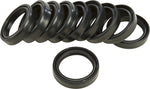HARDDRIVE FORK SEALS