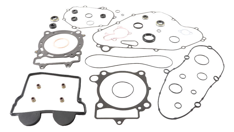 COMPLETE GASKET SET WITH OIL SEALS | 811485