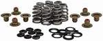 Valve Spring Kit