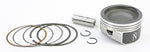 PISTON KIT 79.95/STD POL