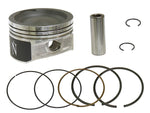 PISTON KIT 79.95/STD POL