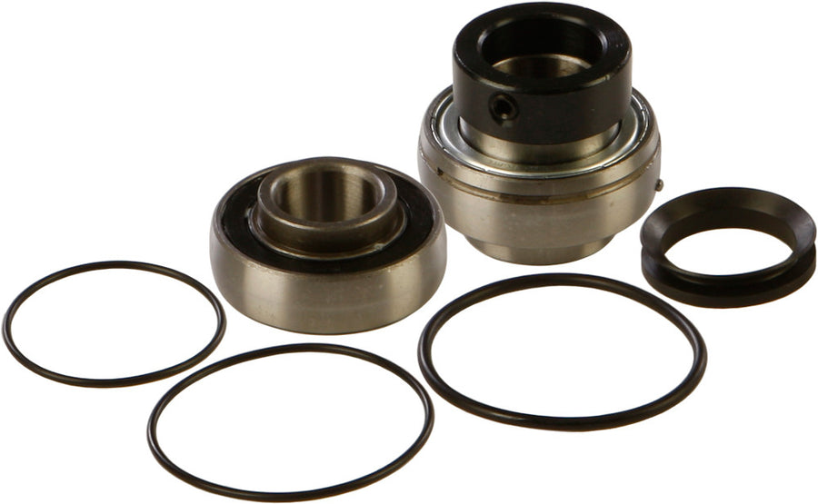 CHAIN CASE BEARING & SEAL KIT